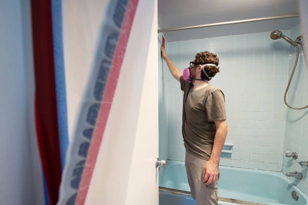 Mold Odor Removal Services in College Station, TX