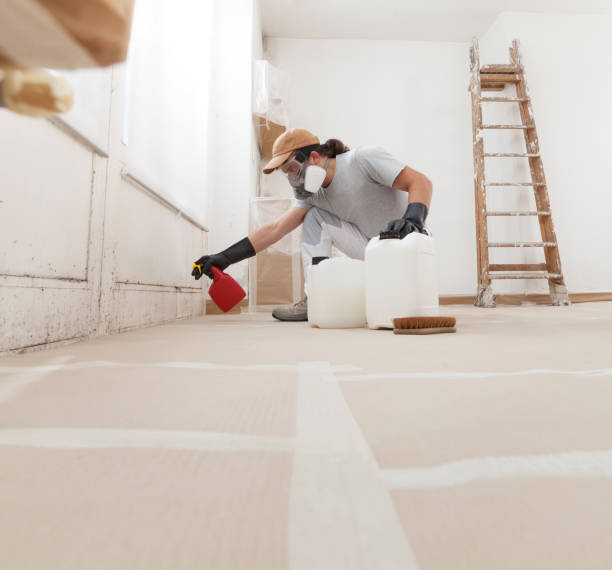 Professional Mold Removal in College Station, TX